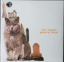 Load image into Gallery viewer, Brian Jonestown Massacre - Fire Doesn't Grow On Trees