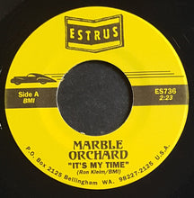 Load image into Gallery viewer, Marble Orchard - It's My Time