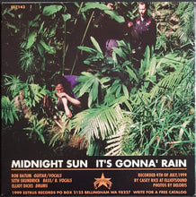 Load image into Gallery viewer, Nerves - Midnight Sun