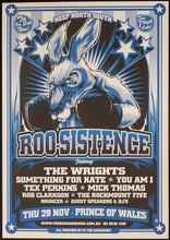 Load image into Gallery viewer, Something For Kate - Roo-Sistence - 2007 - Keep North South