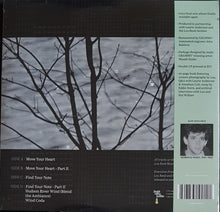 Load image into Gallery viewer, Reed, Lou - Hudson River Wind Meditations