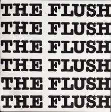Load image into Gallery viewer, Flush - Hey You