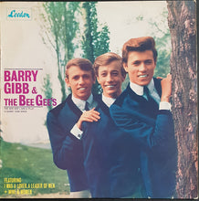 Load image into Gallery viewer, Bee Gees - The Bee Gee's Sing &amp; Play 14 Barry Gibb Songs