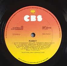 Load image into Gallery viewer, Rabbit - Rabbit