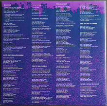 Load image into Gallery viewer, Schnell Fenster (Split Enz)- The Sound Of Trees