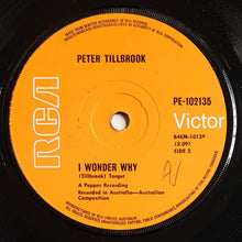 Load image into Gallery viewer, Peter Tilbrook - A Mad Man Roams Tonight / I Wonder Why