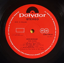 Load image into Gallery viewer, Pink Fairies - Never Neverland
