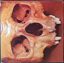 Load image into Gallery viewer, Still Life - Still Life