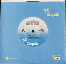 Load image into Gallery viewer, Divinyls - Good Die Young