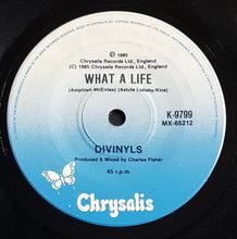 Load image into Gallery viewer, Divinyls - Pleasure &amp; Pain