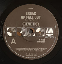 Load image into Gallery viewer, Steve Hoy - Break Up Fall Out