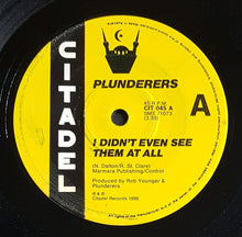Load image into Gallery viewer, Plunderers - I Didn't Even See Tham At All