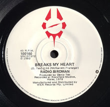 Load image into Gallery viewer, Radio Birdman - Alone In The Endzone