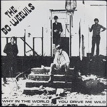 Load image into Gallery viewer, Bo-Weevils - Why In The World / You Drive Me Wild