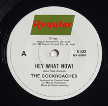 Load image into Gallery viewer, Cockroaches - Hey What Now!
