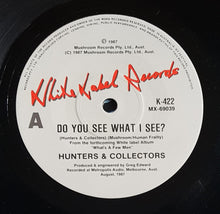 Load image into Gallery viewer, Hunters &amp; Collectors - Do You See What I See?