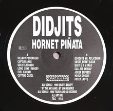 Load image into Gallery viewer, Didjits - Hornet Pinata