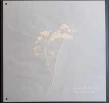 Load image into Gallery viewer, Seventeen At This Time - Home Is Where The Heart Is