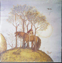 Load image into Gallery viewer, Madden &amp; Harris - Fools Paradise
