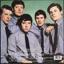 Load image into Gallery viewer, Animals - The Best Of The Animals - 180gr Clear Vinyl