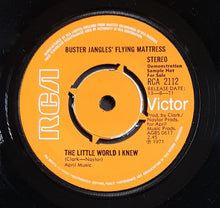 Load image into Gallery viewer, Buster Jangles' Flying Mattress - Love Has Taken Over My Brain