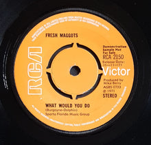 Load image into Gallery viewer, Fresh Maggots - Car Song