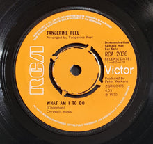 Load image into Gallery viewer, Tangerine Peel - Don't Let Me Be Misunderstood