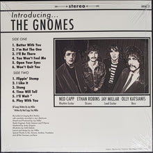 Load image into Gallery viewer, Gnomes - Introducing...The Gnomes