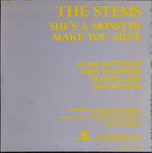 Load image into Gallery viewer, Stems - She's A Monster
