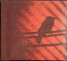 Load image into Gallery viewer, A Silver Mt. Zion - Born Into Trouble As The Sparks Fly Upward