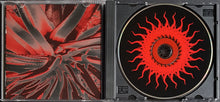 Load image into Gallery viewer, Neurosis - A Sun That Never Sets