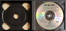 Load image into Gallery viewer, Bee Gees - 1963-1966 Birth Of Brilliance