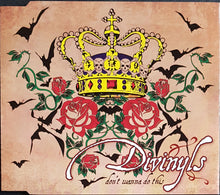 Load image into Gallery viewer, Divinyls - Don't Wanna Do This