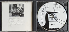 Load image into Gallery viewer, Sonic Youth - Hold That Tiger