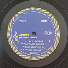 Load image into Gallery viewer, Ted Mulry - Falling In Love Again