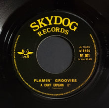 Load image into Gallery viewer, Flamin' Groovies - I Can't Explain