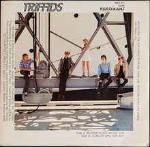 Load image into Gallery viewer, Triffids - Reverie