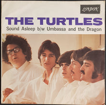 Load image into Gallery viewer, Turtles - Sound Asleep