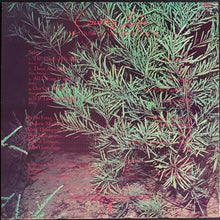 Load image into Gallery viewer, Roxy Music - Country Life
