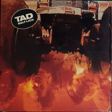 Load image into Gallery viewer, Tad - Salt Lick