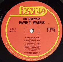 Load image into Gallery viewer, Walker, David T. - The Sidewalk