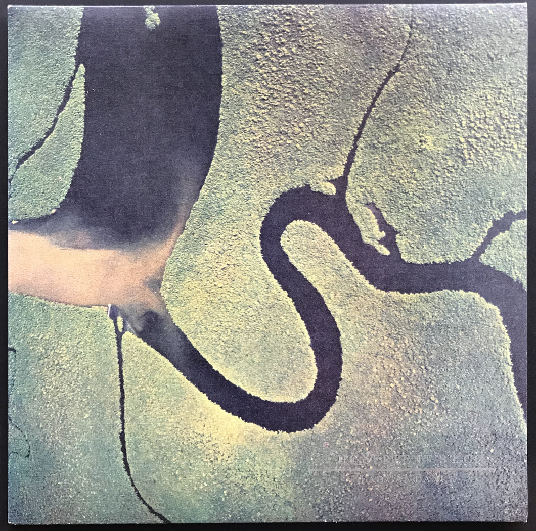 Dead Can Dance - The Serpent's Egg