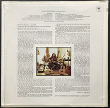 Load image into Gallery viewer, David Bromberg - David Bromberg