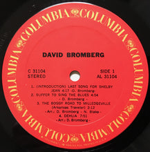 Load image into Gallery viewer, David Bromberg - David Bromberg