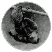Load image into Gallery viewer, V/A - The 21st National Jazz Festival