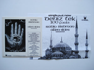 Radio Birdman (Deniz Tek) - 100 Fools