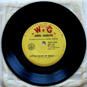 James Gilreath - Little Band Of Gold