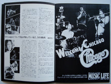 Load image into Gallery viewer, Chicago - 1972