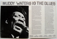 Load image into Gallery viewer, John Mayall - 1973