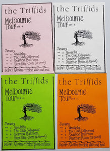 Triffids - Melbourne Tour 1984